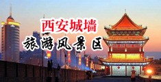 骚货干死你视频中国陕西-西安城墙旅游风景区