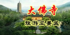 插bb动态污图视频日韩中国浙江-新昌大佛寺旅游风景区